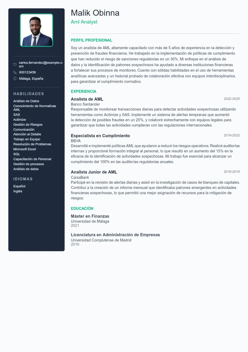 Ejemplo de CV de Analista de AML y guía de CV Example - Professional Resume Template