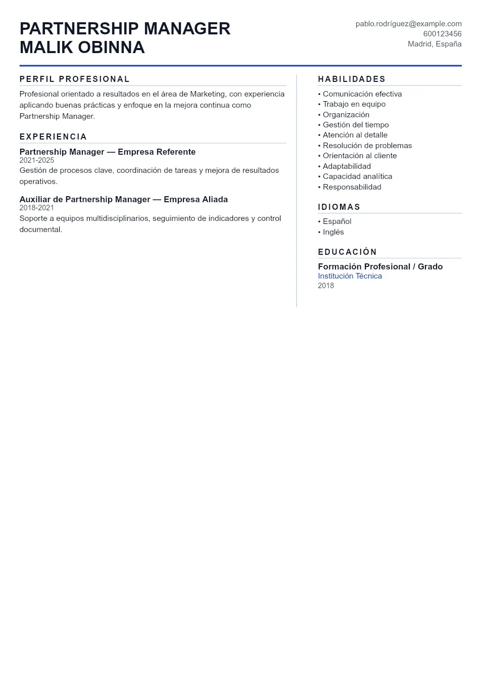 Ejemplo de CV para CV de Partnership Manager - Plantilla de currículum profesional