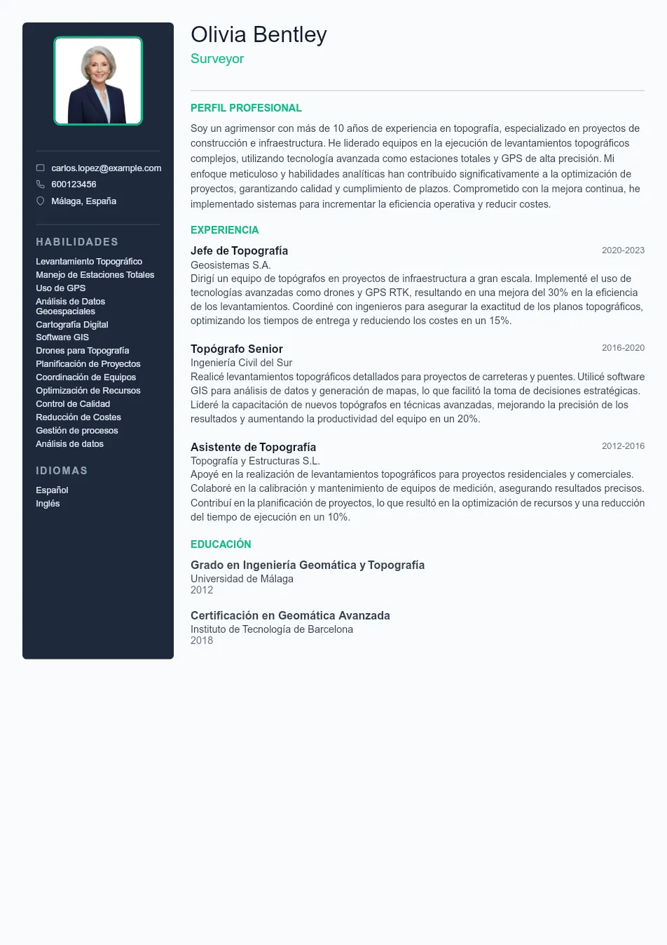 Ejemplo de CV de Surveyor CV Example - Professional Resume Template